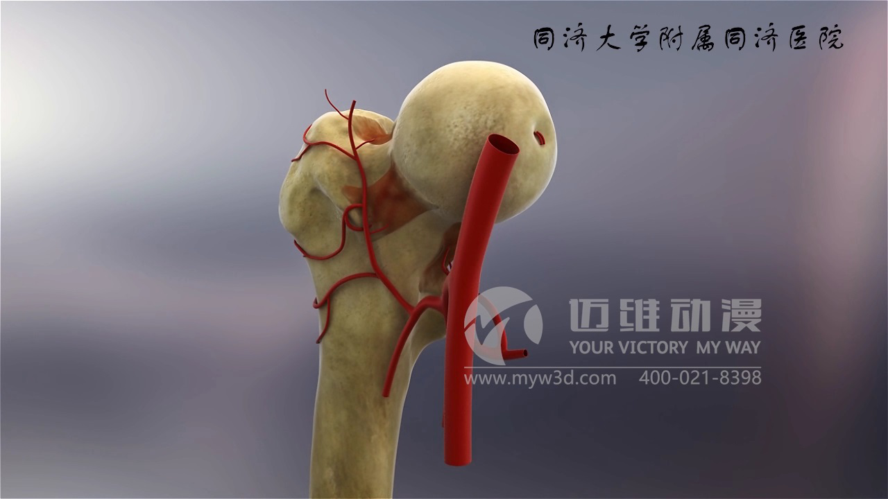 醫(yī)學(xué)仿真三維動(dòng)畫演示 醫(yī)學(xué)仿真三維動(dòng)畫演示